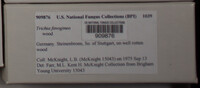 Image Associated With the Occurence
